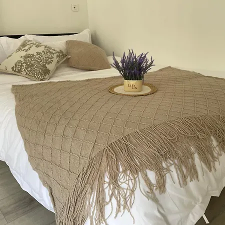 105m2 Intramuros Centre Apartment Avignon